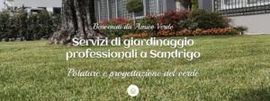 Sito Web Amico Verde Sandrigo