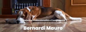 Sito Web Bernardi Mauro