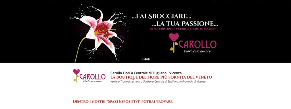 Sito Web Carollo Fiori