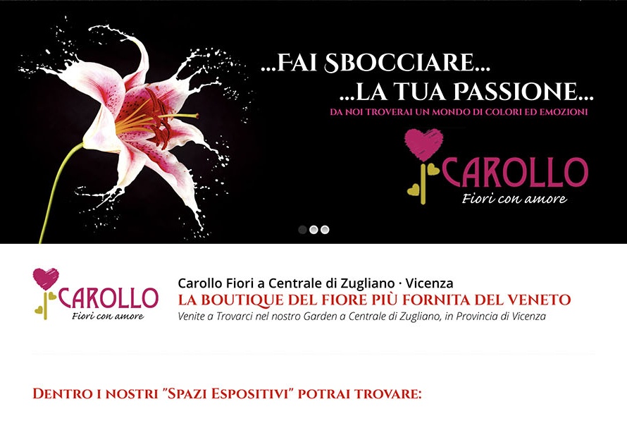 Sito Web Carollo Fiori