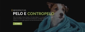 Sito Web Pelo e Contropelo Toelettatura