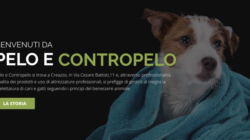 Sito Web Pelo e Contropelo Toelettatura