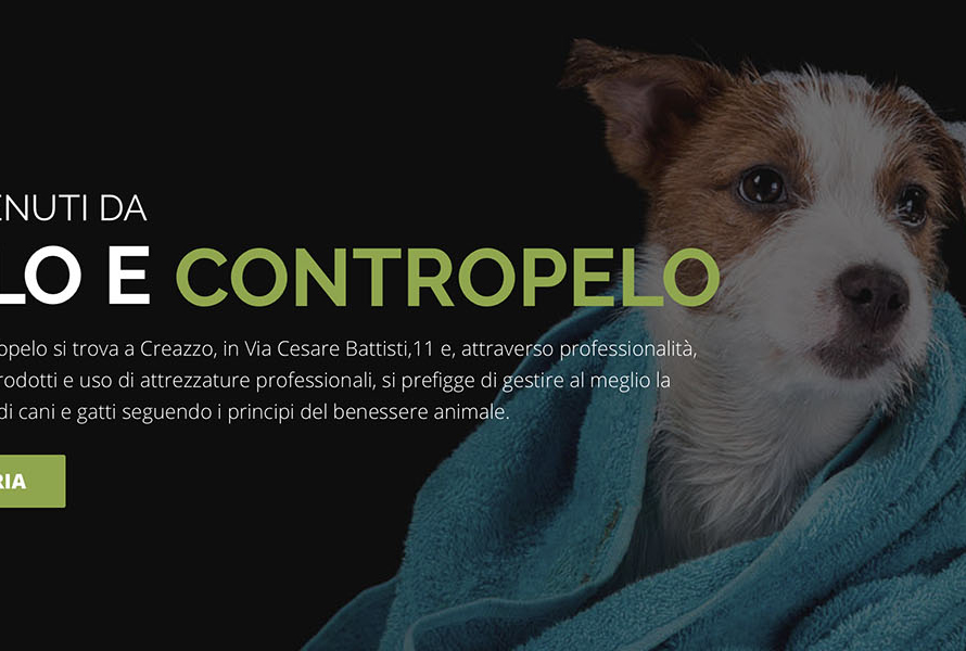 Sito Web Pelo e Contropelo Toelettatura