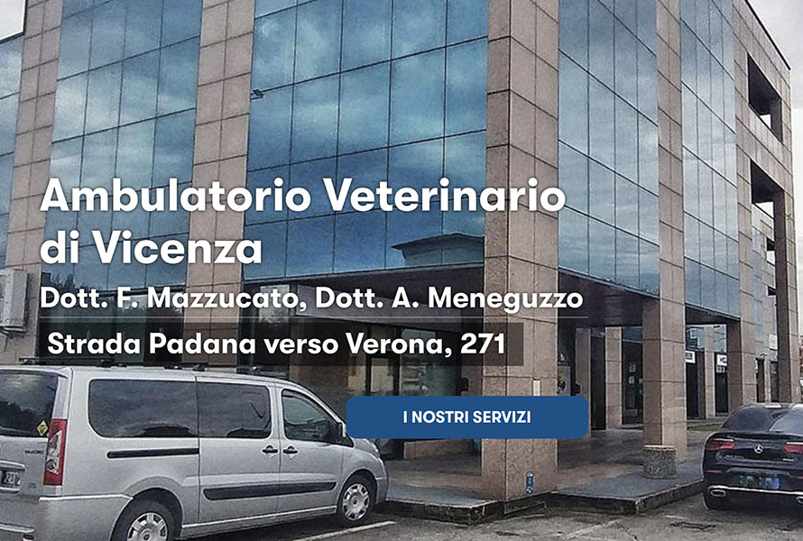 Sito Web Veterinario Vicenza