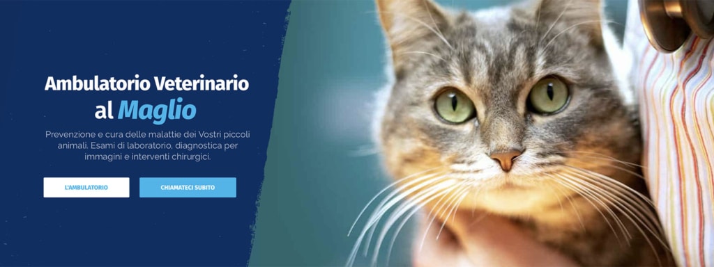 Sito Web Ambulatorio al Maglio Veterinario