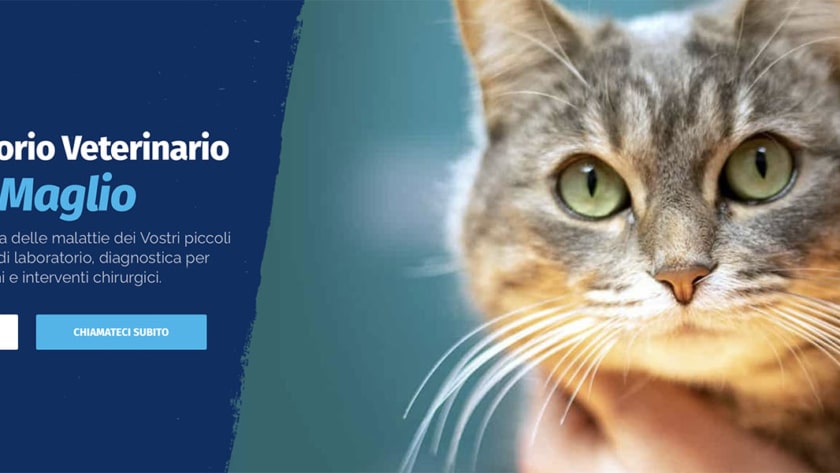 Sito Web Ambulatorio al Maglio Veterinario