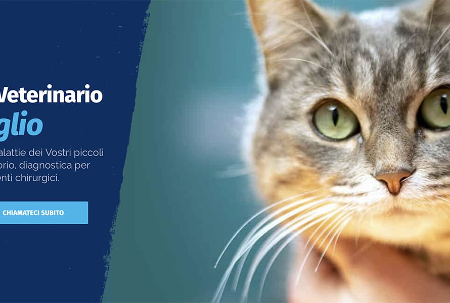 Sito Web Ambulatorio al Maglio Veterinario