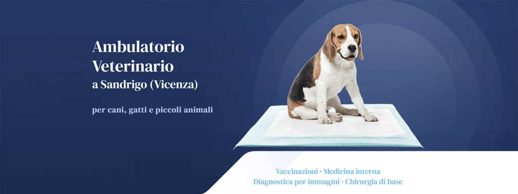 Sito Web Ambulatorio Veterinario Azzolin