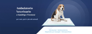 Sito Web Ambulatorio Veterinario Azzolin