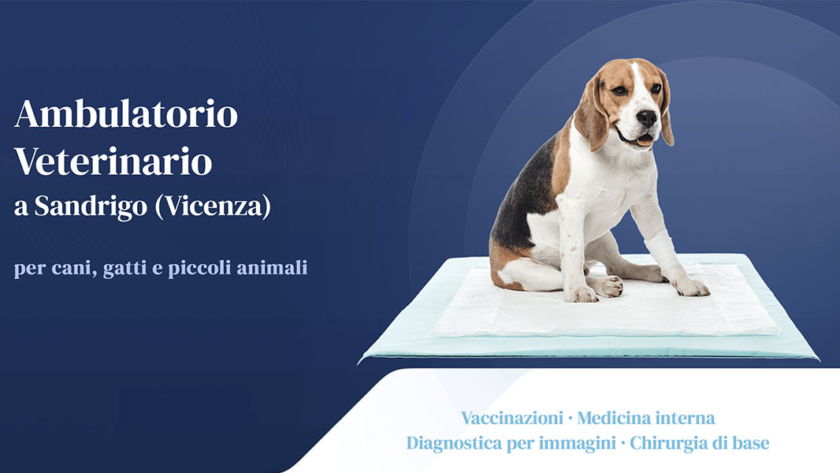 Sito Web Ambulatorio Veterinario Azzolin