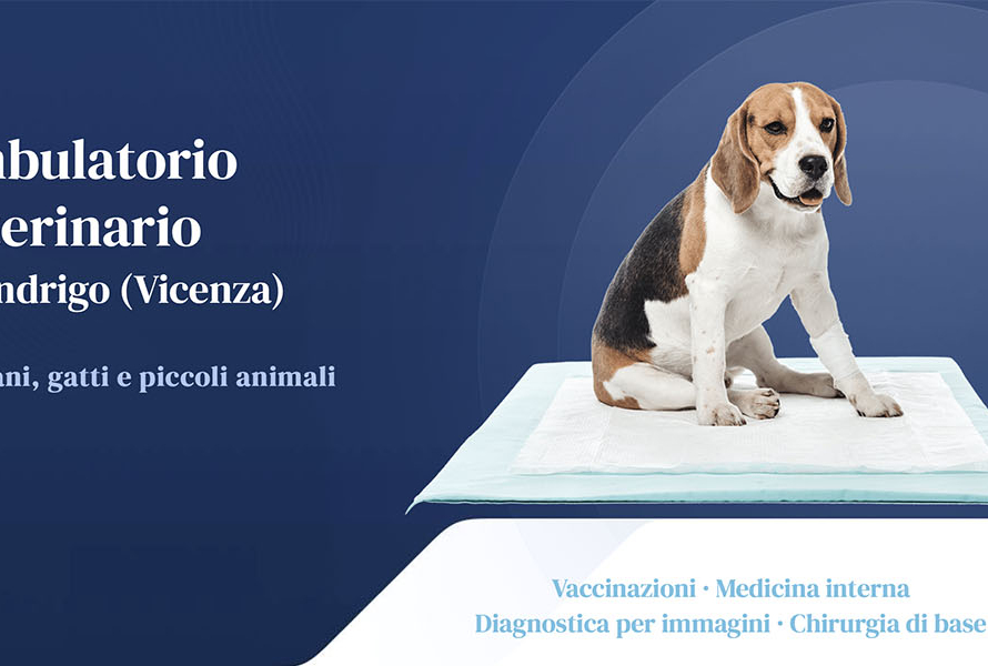 Sito Web Ambulatorio Veterinario Azzolin