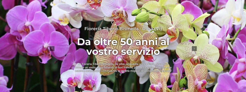 Sito Web Fioreria Tiberio Bisinella