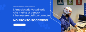 Ambulatorio Veterinario Blass Bano
