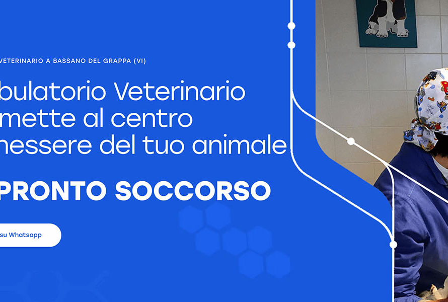 Ambulatorio Veterinario Blass Bano